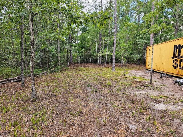 10345 Nikolich Ave, Hastings, FL 32145