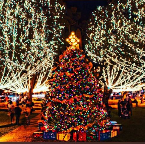 10345 Nikolich Ave, Hastings, FL 32145