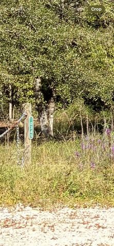 10345 Nikolich Ave, Hastings, FL 32145