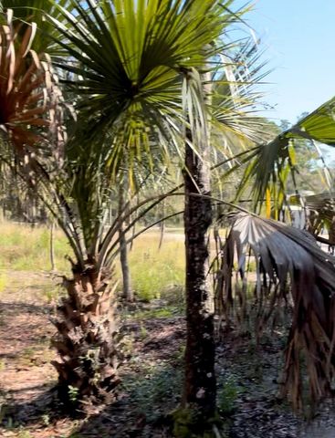 10345 Nikolich Ave, Hastings, FL 32145