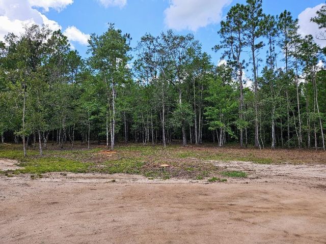 10345 Nikolich Ave, Hastings, FL 32145