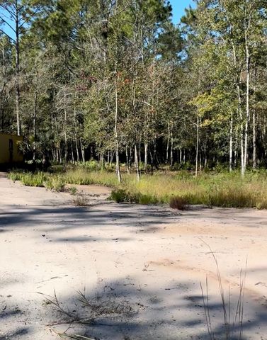 10345 Nikolich Ave, Hastings, FL 32145