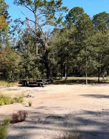 10345 Nikolich Ave, Hastings, FL 32145