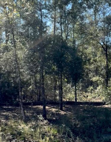 10345 Nikolich Ave, Hastings, FL 32145