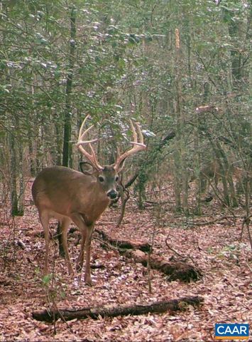 4048 OLD GRAIN RD, Corbin, VA 22446
