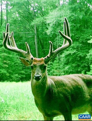 4048 OLD GRAIN RD, Corbin, VA 22446