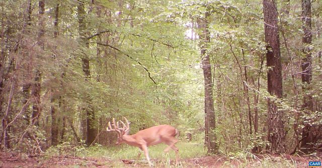 4048 OLD GRAIN RD, Corbin, VA 22446