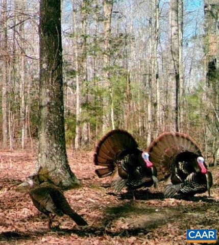 4048 OLD GRAIN RD, Corbin, VA 22446