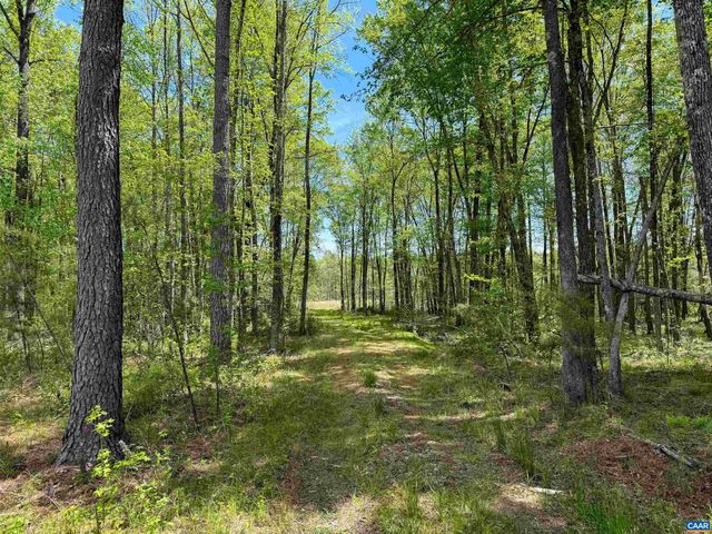 4048 OLD GRAIN RD, Corbin, VA 22446