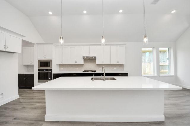 17315 July Moon Lane, Conroe, TX 77302