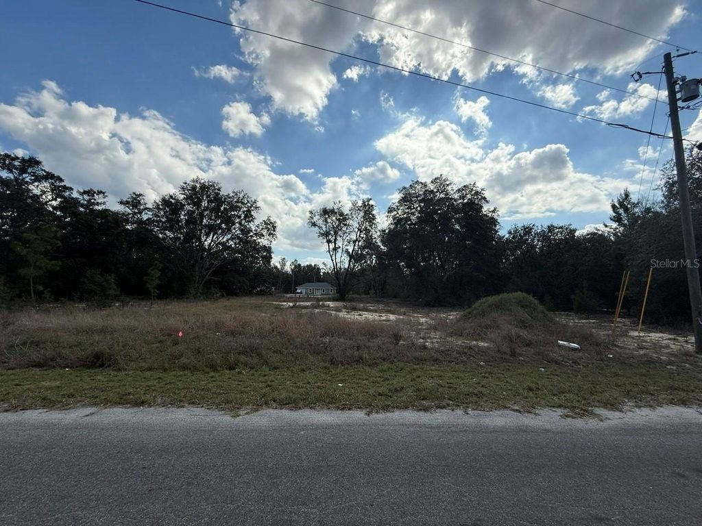 26 FISHER WAY TRAIL, Ocklawaha, FL 32179