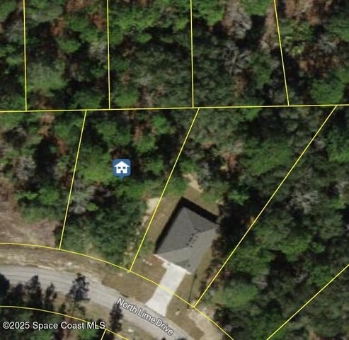 6940 N Lime Drive, Dunnellon, FL 34433