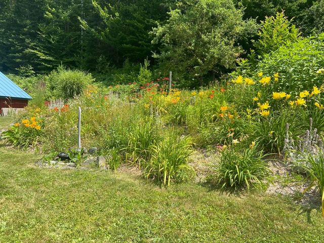 159 Tracy Hill Road, Roxbury, VT 05669