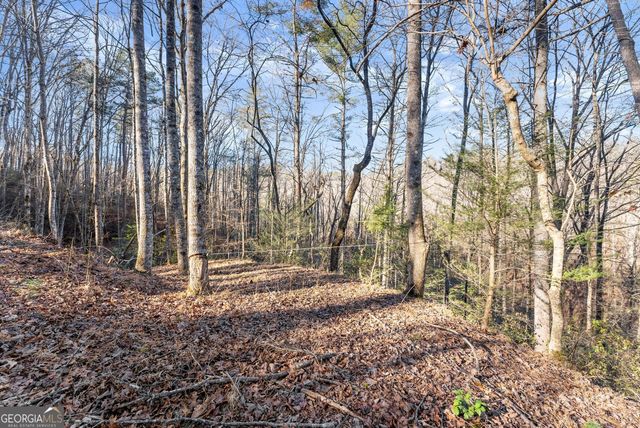 0 River View Lot 13 Trail W, Dahlonega, GA 30533