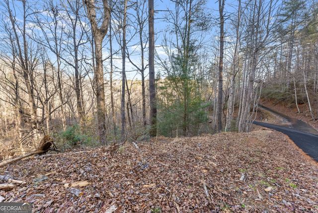 0 River View Lot 13 Trail W, Dahlonega, GA 30533