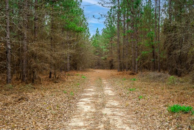 Lot 4-3 Simonside Drive, Aiken, SC 29803