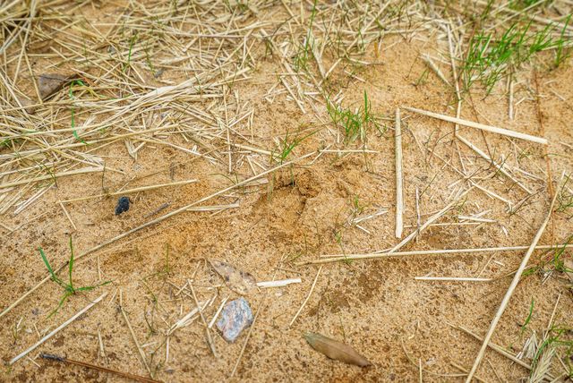 Lot 4-3 Simonside Drive, Aiken, SC 29803