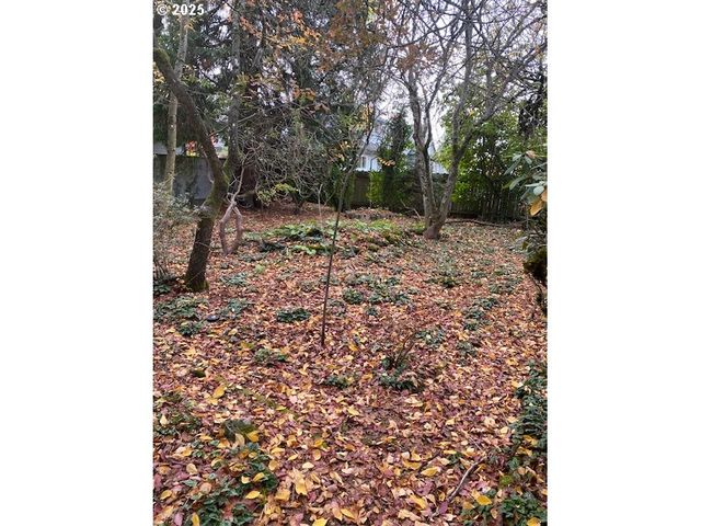 3515 N LOMBARD St, Portland, OR 97217