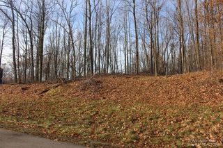 0 Lindsey Unit 13 Road, Jackson, MI 49201
