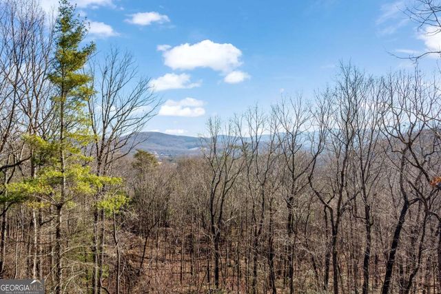 156 Sky High Drive, Ellijay, GA 30536