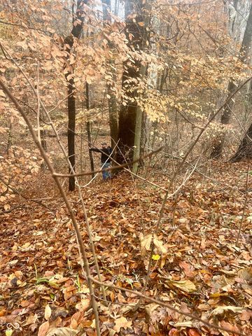 6570 S County Road 850 E, Crothersville, IN 47229