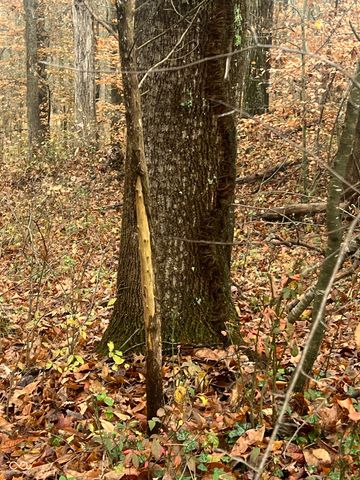 6570 S County Road 850 E, Crothersville, IN 47229