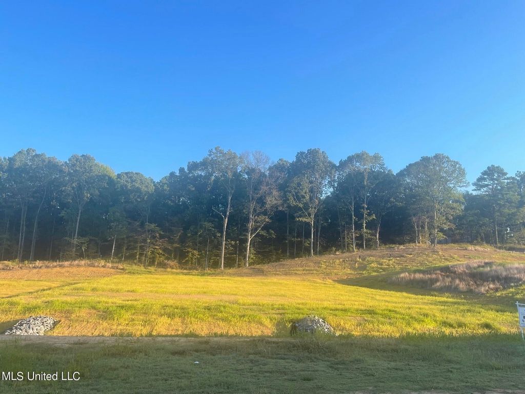 8 Plank Road, Hernando, MS 38632 — exterior