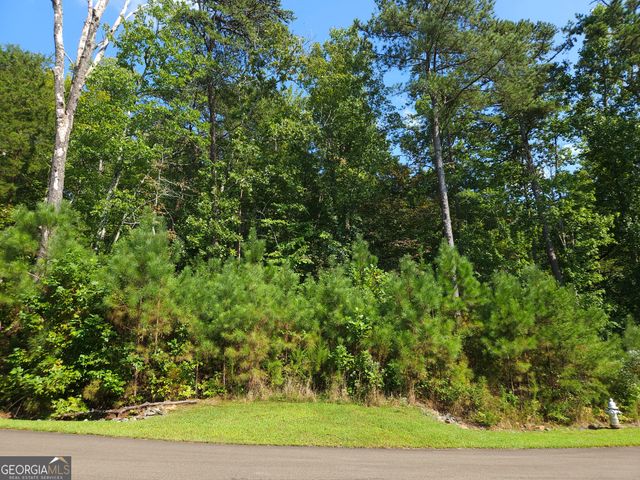 LOT 241 Carters View Lane, Ellijay, GA 30540