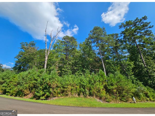 LOT 241 Carters View Lane, Ellijay, GA 30540