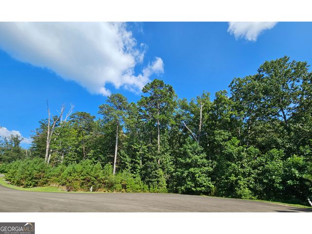 LOT 241 Carters View Lane, Ellijay, GA 30540