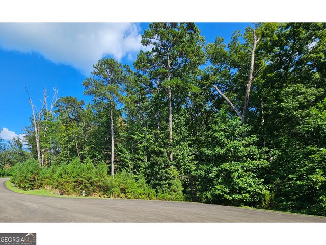 LOT 241 Carters View Lane, Ellijay, GA 30540