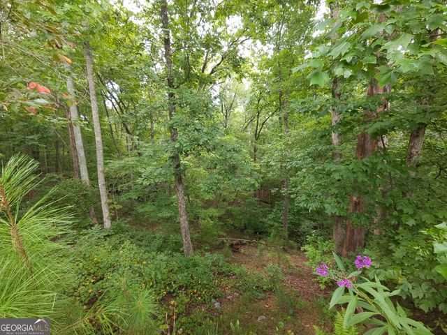 LOT 241 Carters View Lane, Ellijay, GA 30540