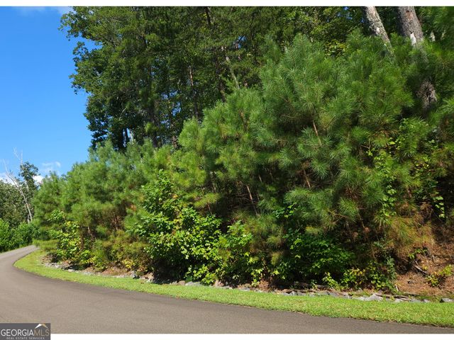 LOT 241 Carters View Lane, Ellijay, GA 30540