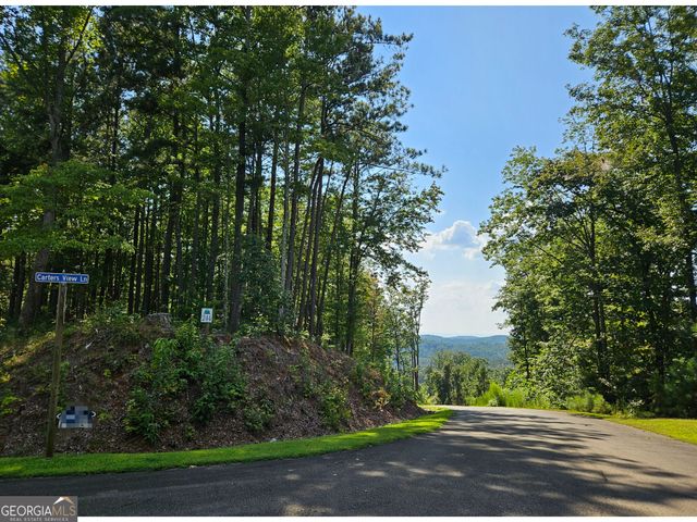 LOT 241 Carters View Lane, Ellijay, GA 30540