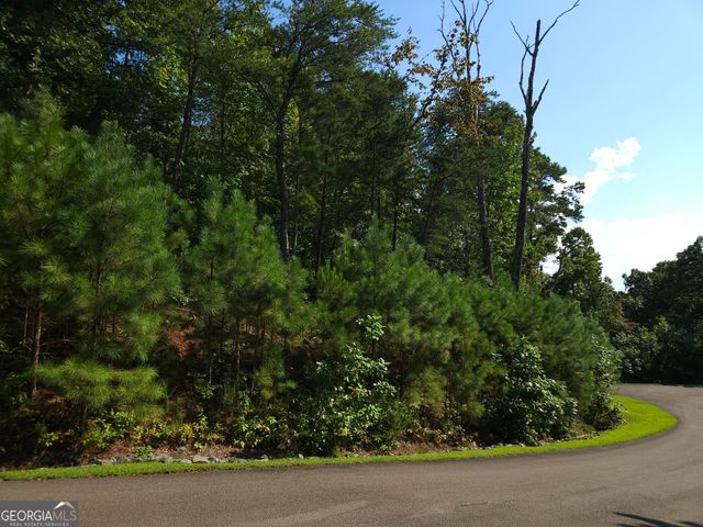 LOT 241 Carters View Lane, Ellijay, GA 30540