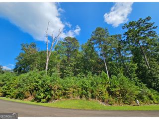 LOT 241 Carters View Lane, Ellijay, GA 30540