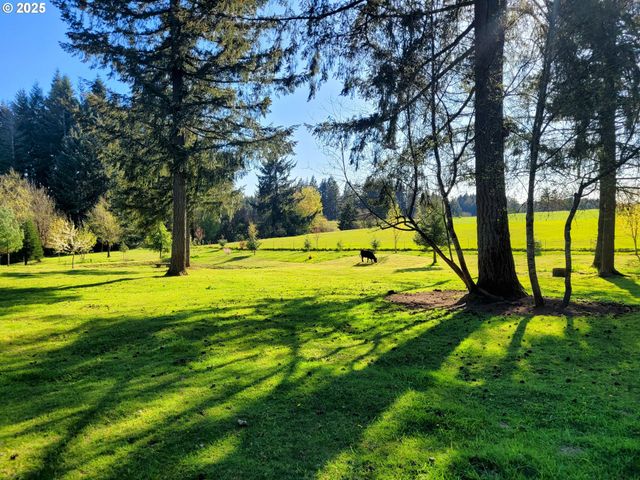 119 Nw 386TH St, Woodland, WA 98674