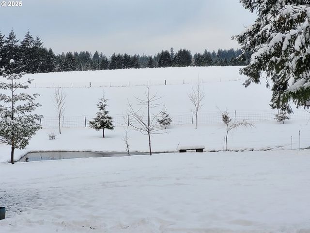 119 Nw 386TH St, Woodland, WA 98674