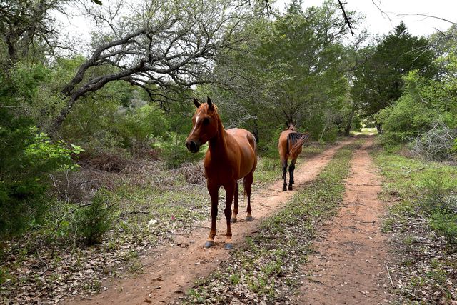 TBD East Interstate 10 Frontage Road, Weimar, TX 78962