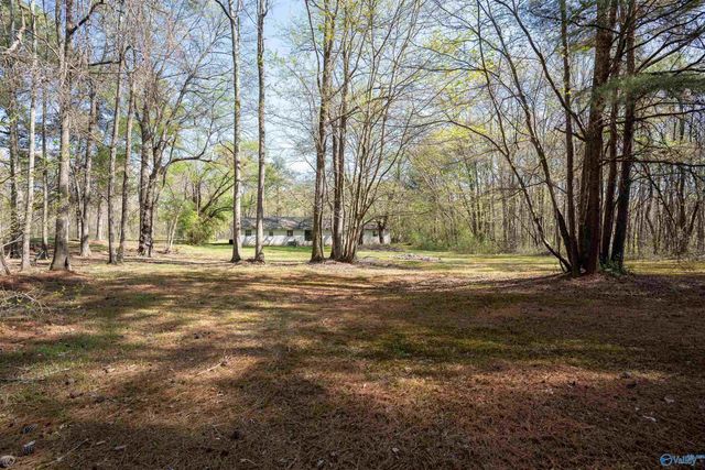 1416 Skyline Avenue, Fort Payne, AL 35967