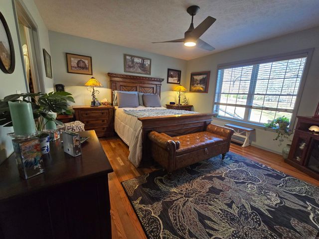 201 Coon Ridge Road, Lakeview, AR 72642