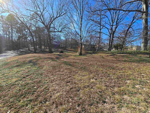 201 Coon Ridge Road, Lakeview, AR 72642