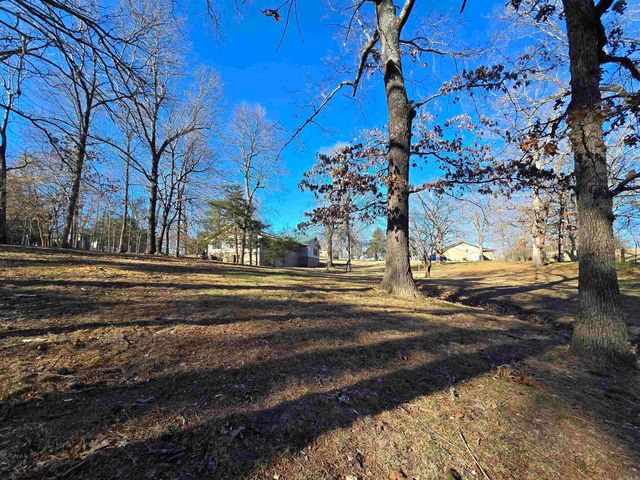 201 Coon Ridge Road, Lakeview, AR 72642