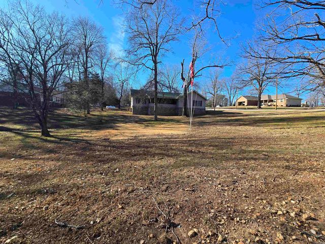 201 Coon Ridge Road, Lakeview, AR 72642
