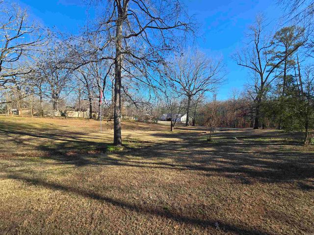 201 Coon Ridge Road, Lakeview, AR 72642