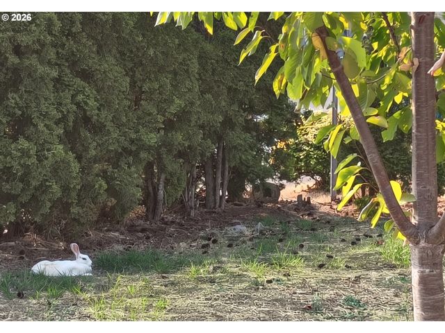 10202 Ne 24TH Cir, Vancouver, WA 98664