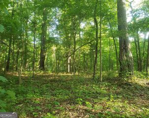 0 Grayson Trail, Hogansville, GA 30230