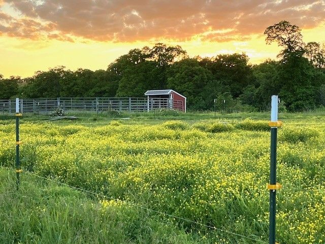 2.0 Acres E McNelly Road, Bentonville, AR 72712