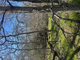289 Iva LN, Bastrop, TX 78602