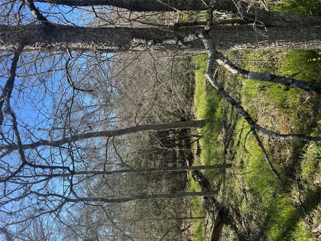 289 Iva LN, Bastrop, TX 78602